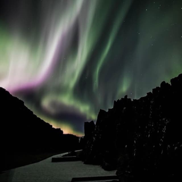 Green and purple Northern Lights over the Almannagjá rift at Þingvellir National Park