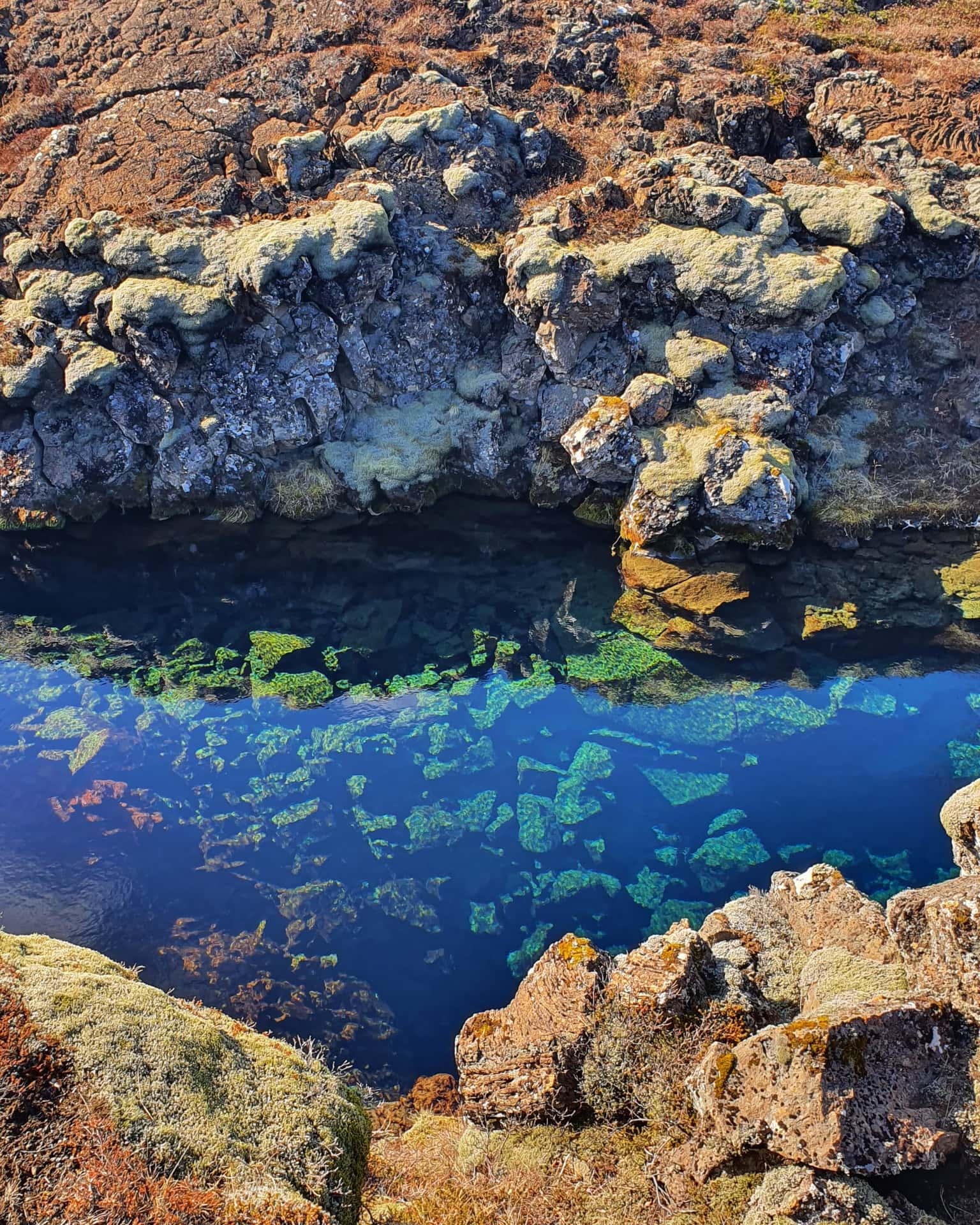 Crystal-clear glacial water in a rift fissure at Þingvellir National Park on the Golden Circle
